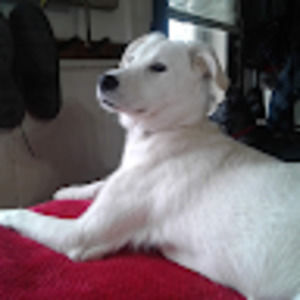 Meet your Posher, Sandra